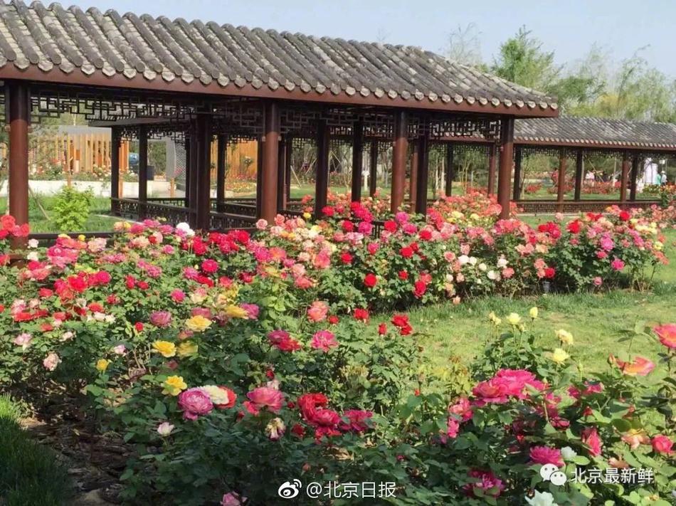 旅游业:500元4小时快餐不限次数qq号