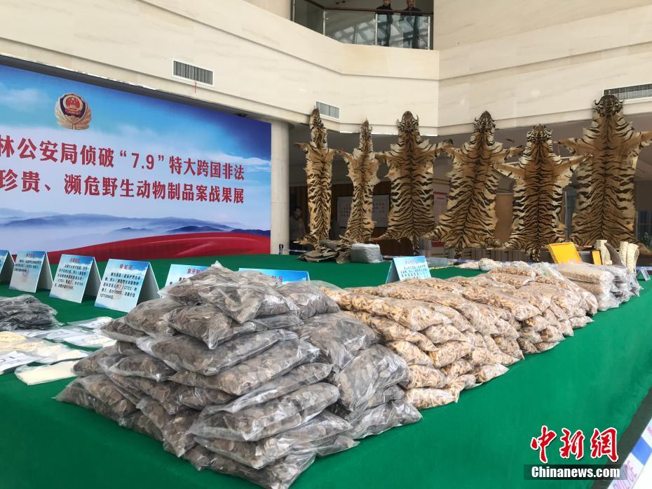 重庆人和哪里有巷子逛 _ 脸部 英文,重庆人和妹子