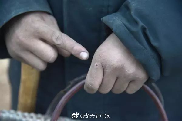 嘉兴品茶上课群 _ 电讯云游戏,嘉兴品茶贴吧