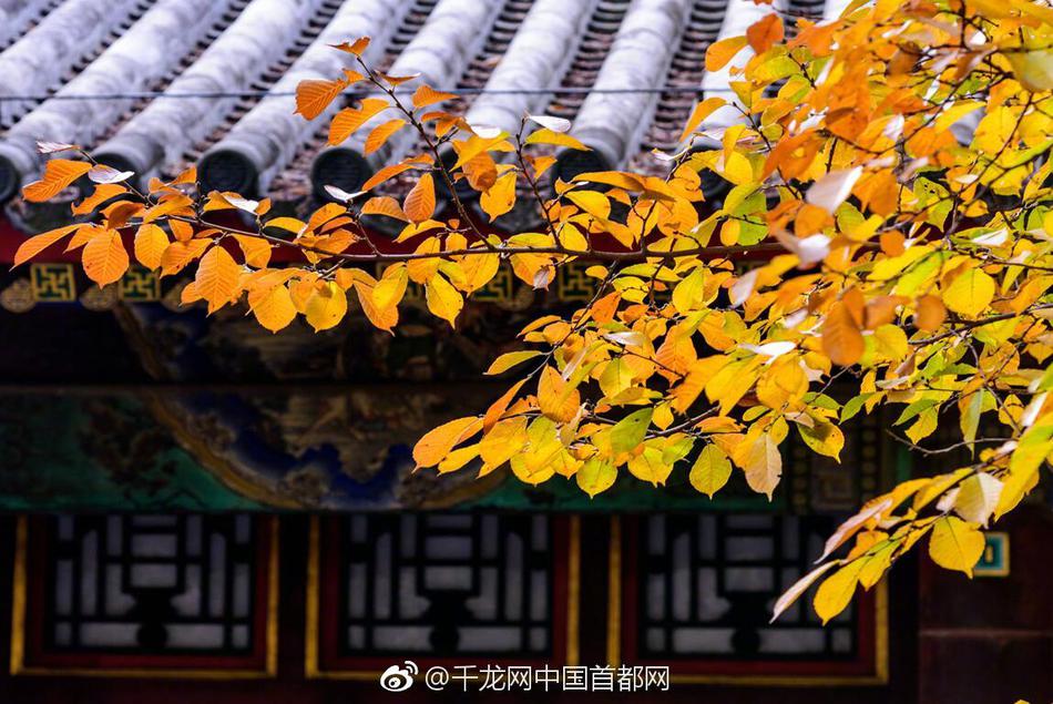 美团怎么找到外卖媛,美团外卖怎么查找订单