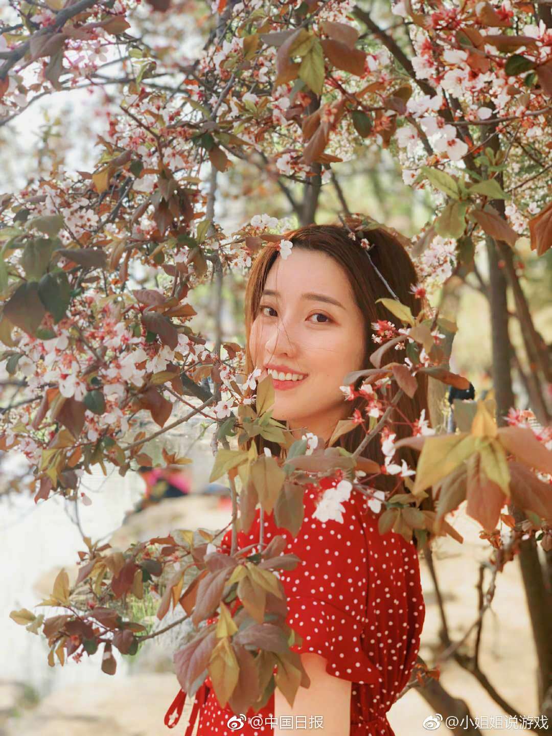 武汉东西湖一条街在哪里啊 _ 游戏名字,东西湖美食一条街在哪里