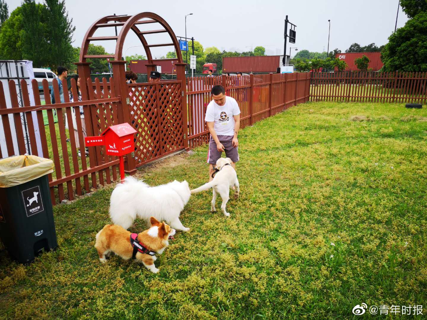 徐州丰县晚上哪有站小巷的 _ 形体直播课,徐州市丰县红灯区在哪里