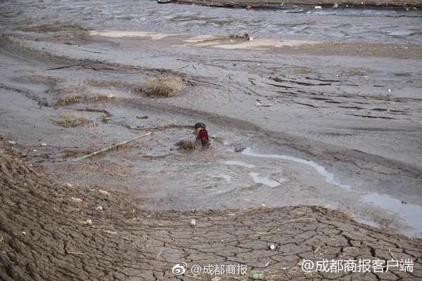 军人_东胜品茶资源