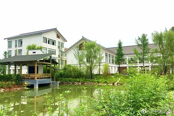 惠州河南岸汽车站对面小巷子,这地方到底藏了多少宝藏,惠州河南岸那条街人多