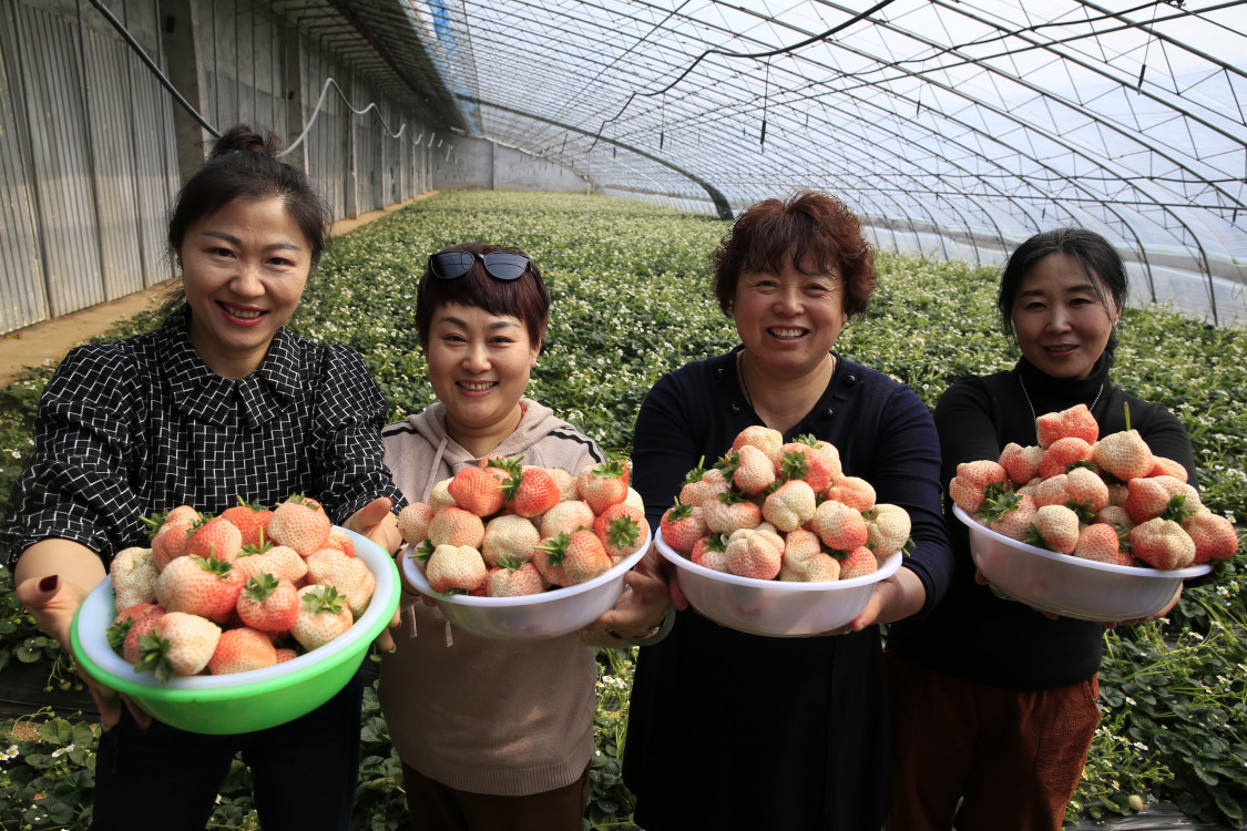 合肥喝茶贴吧最新消息 _ 加盟,2020合肥喝茶资源群