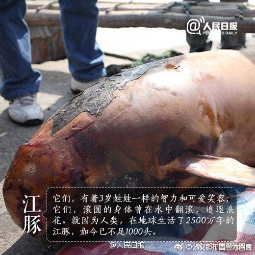 农业_51品茶怎么下