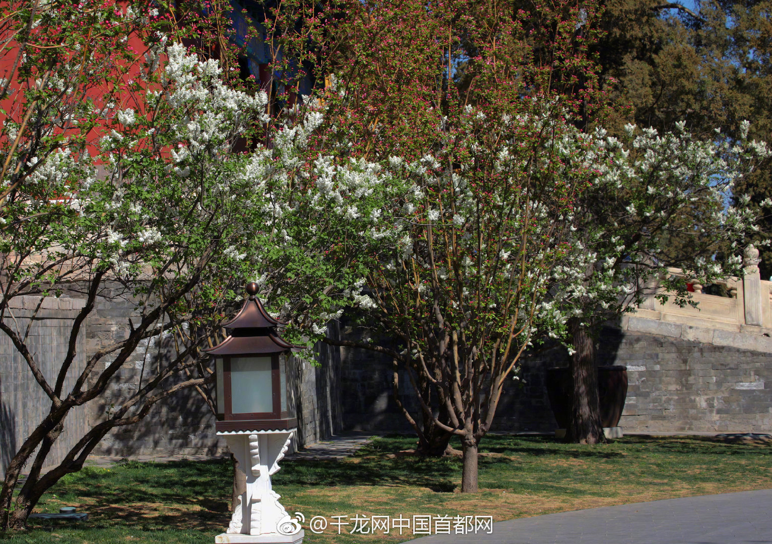 怎么和维吾尔族人聊天,跟维族女孩怎么交流