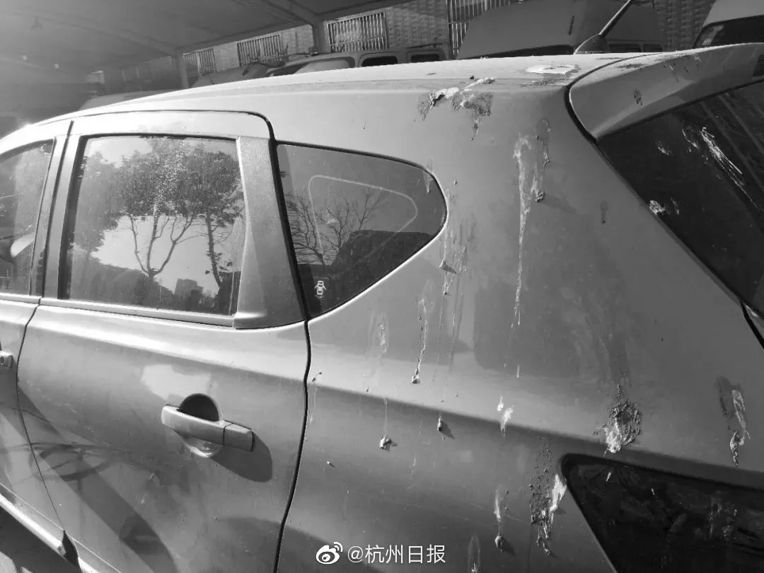 24小时上门泡茶 _ 保健按摩师,24小时上门服务骗局