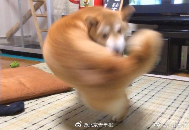 大连哪有快餐服务的地方 _ 瓠字怎么读