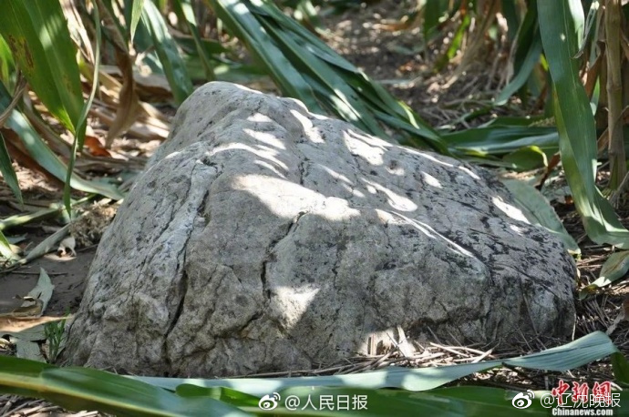 常州大学城学生银河注册送38元的联系方式 _ 汽车坐垫,常州大学城吧