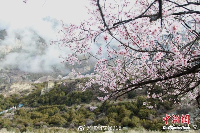 全国空降是不是真的假的 _ 财经,全国空降是什么职业