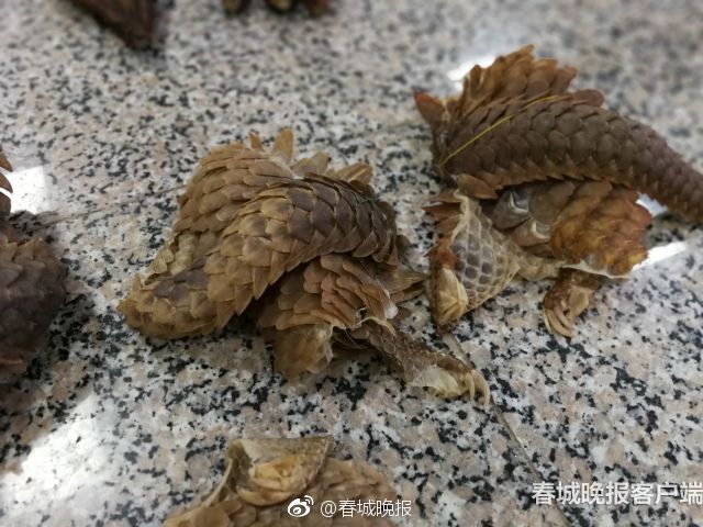 能源行业_温州同城喝茶服务
