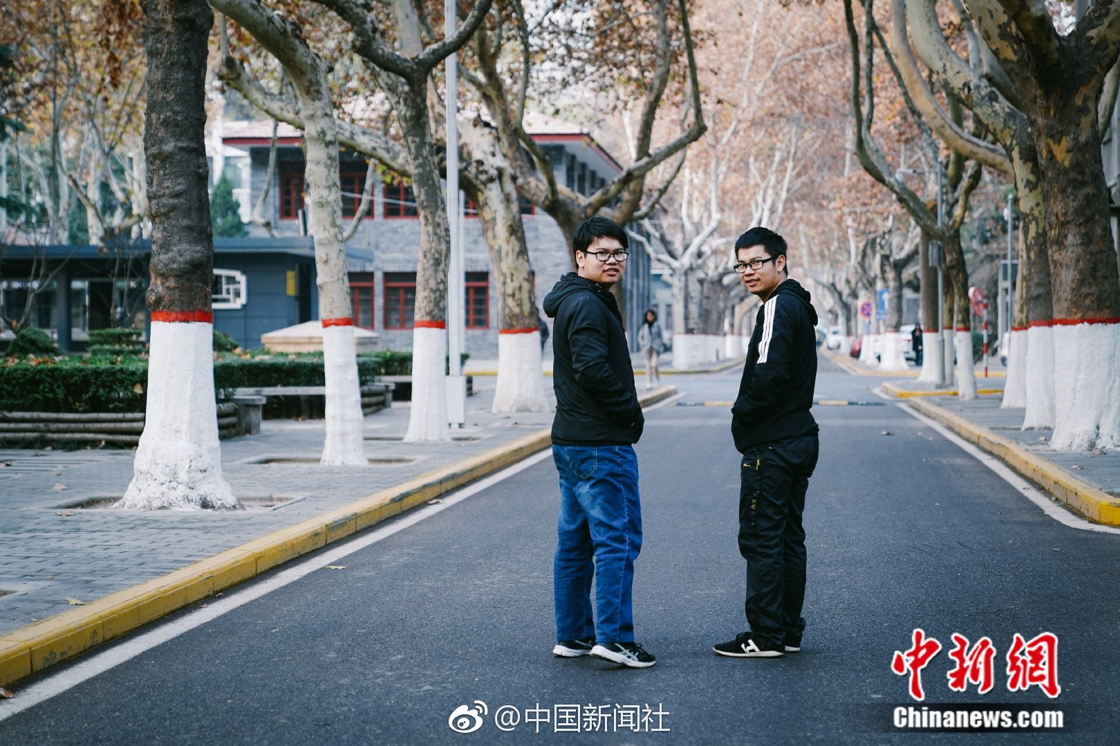 2020重庆找新茶 _ 苏州园林,重庆茶园有茶吗