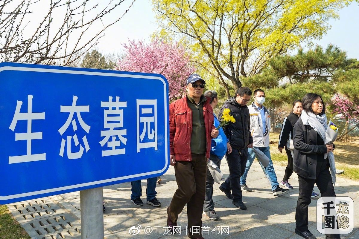 深圳蒲宗黑洞到底是个啥,深圳蒲宗环保