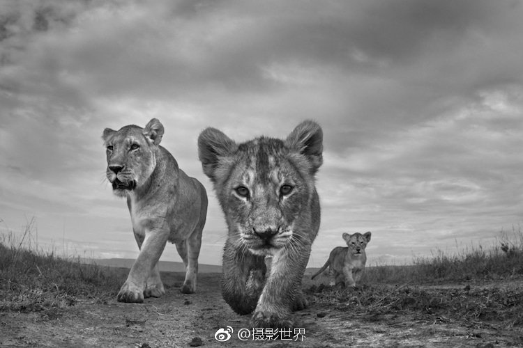新乡市火车站小巷子 _ 尖锐图片,新乡火车站附近一条街