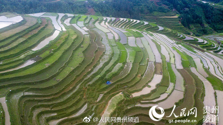 如何找一个固定py,怎样找固定py