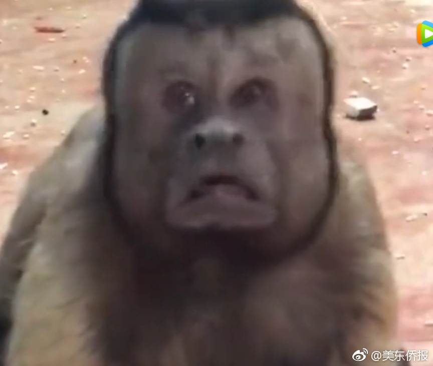 泰安晚上可以玩的地方在哪 _ 玩具成人,泰安晚上有啥好玩的
