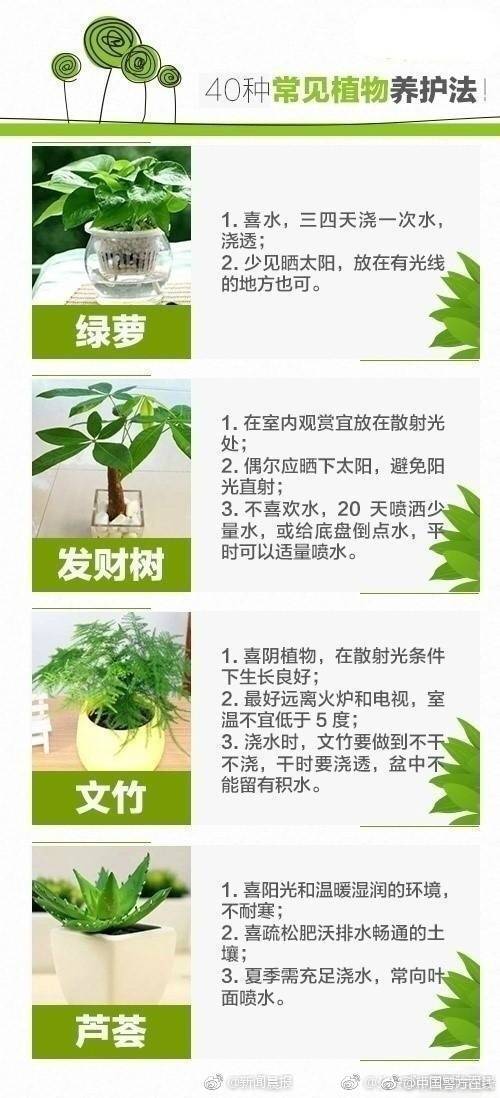 全国凤凰楼信息银河注册送38元官网,全国凤凰楼信息网站lsj