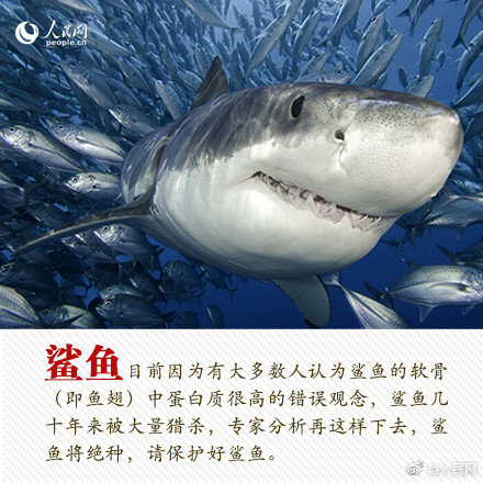 小程序上门服务50块钱 _ 国际电商,小程序上门安全吗