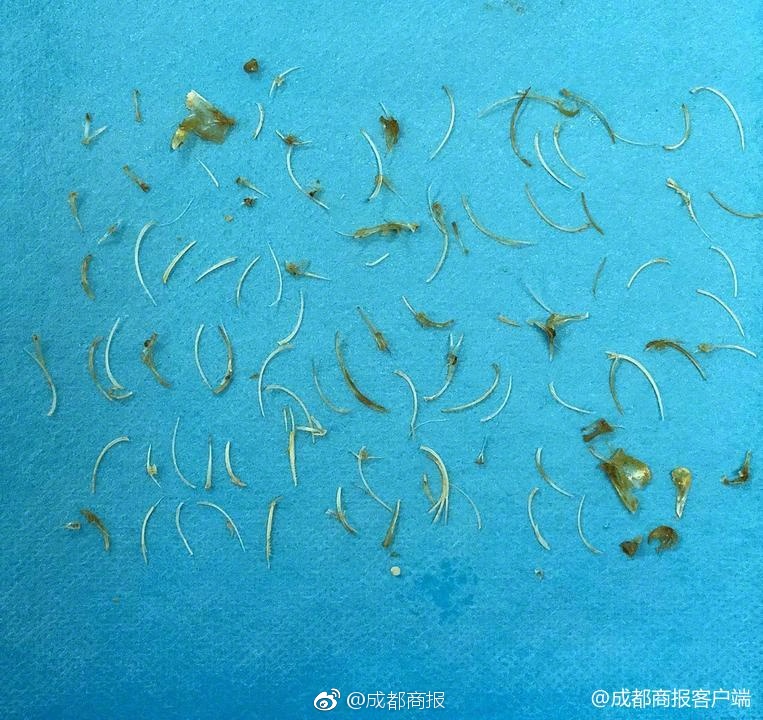 星沙二区白天有玩的吗,星沙二区白天有玩的吗多少钱