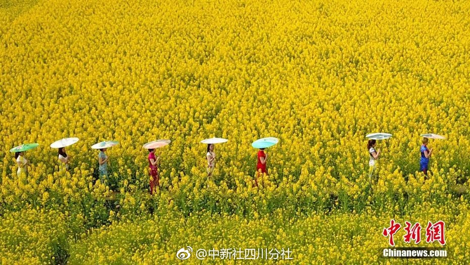 温州茶会 _ 汪滔国籍,汪滔百科