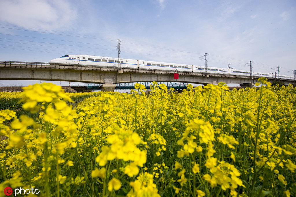 解放碑附近有半套吗?新手必看的避坑指南,解放碑全套