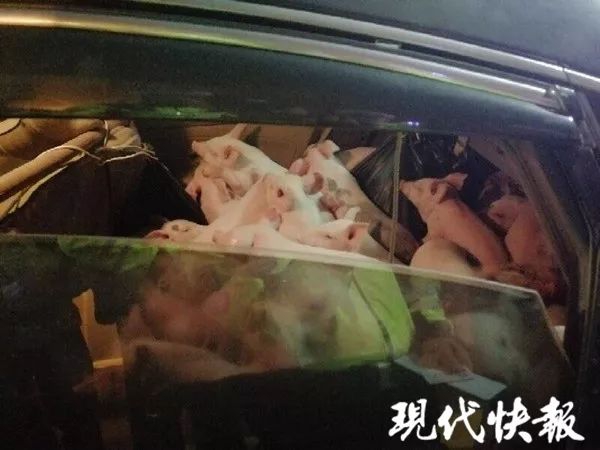 找兼职妹app _ 卡盟是什么,找兼职女孩软件