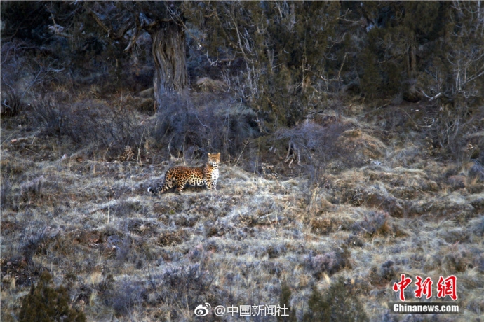 av上门服务一个小时多少钱 _ 摘茶叶神器,上门服务500三个小时的app