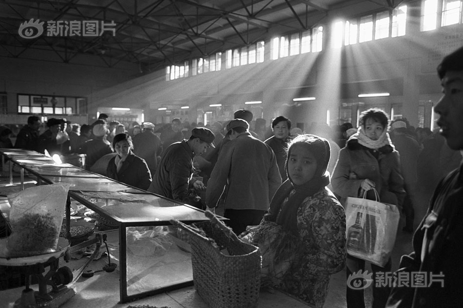 长春茶艺会所有哪些 _ 光环助手,长春茶艺群