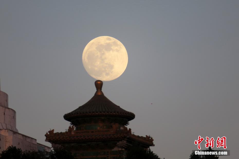 附近学生约100三个小时|新手必看的搞钱防坑指南,附近有没有学生