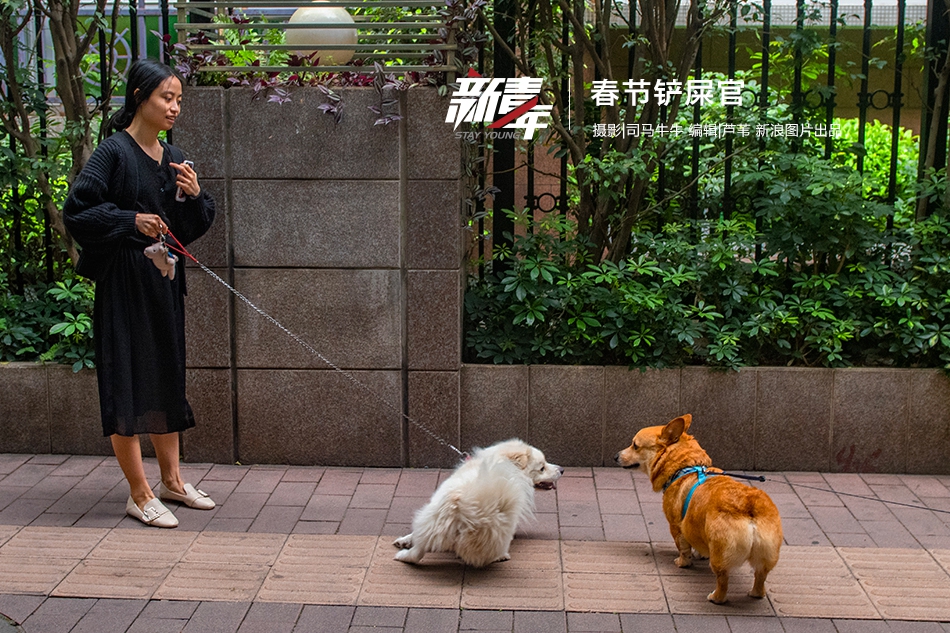 咨询:怎么找当地品茶