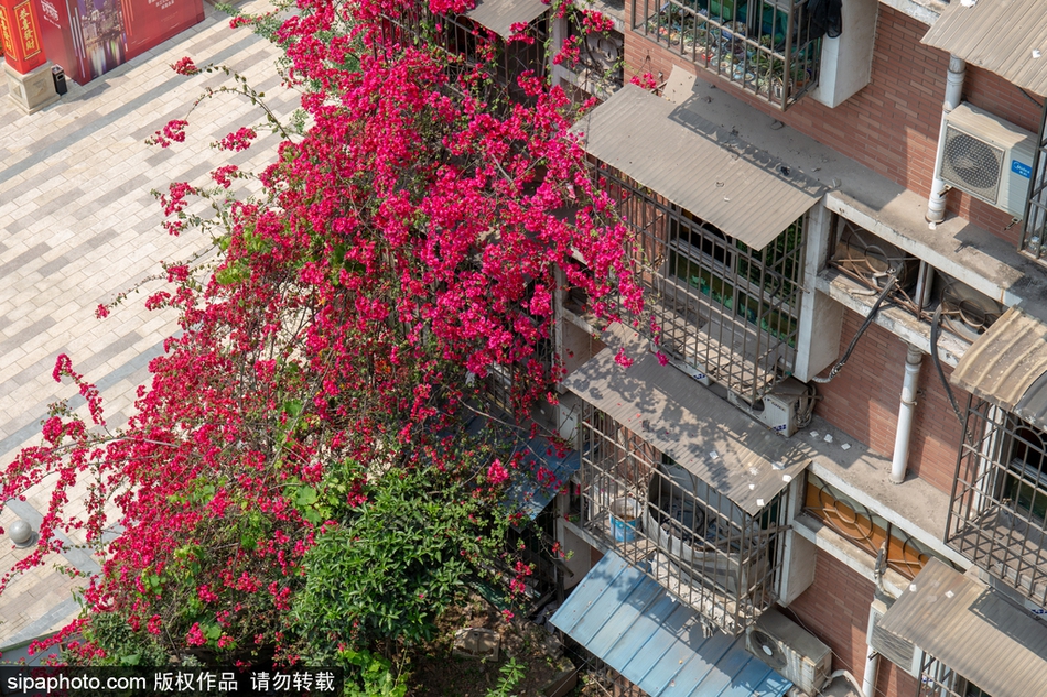 绵阳步行街深度暴走指南,绵阳步行街小吃一条街