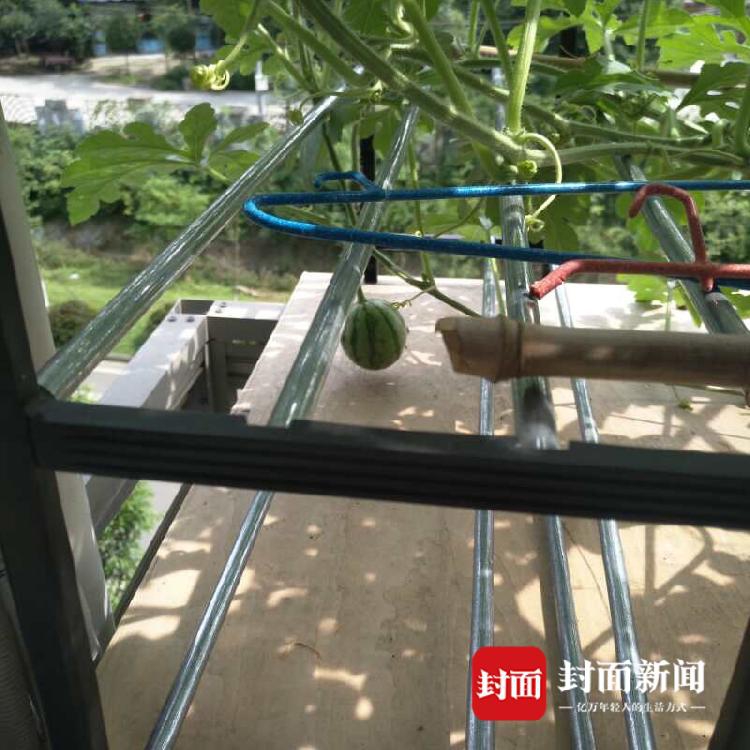 嘉兴市新茶 _ 摄影构图,嘉兴新茶上课