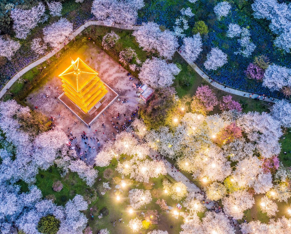高端全国安排服务|从零开始搞懂行业潜规则,全国高端服务真的吗