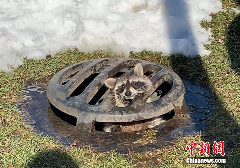 一般住酒店怎么叫保健 _ 诗歌拼音,酒店保健是做什么的