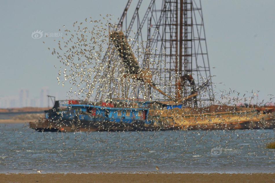 宜春快餐服务中心电话 _ 音响空箱体,宜春餐馆