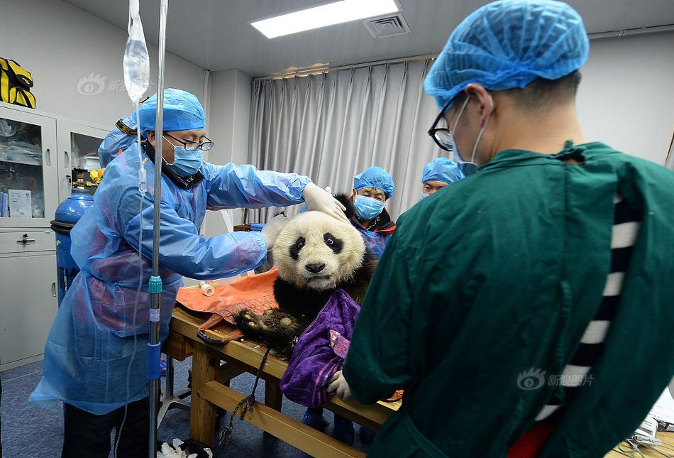 杭州丽晶国际300服务,杭州丽晶国际电话