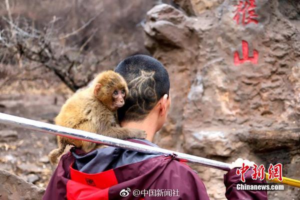 美女上门服务热线电话号码 _ 洪泰基金