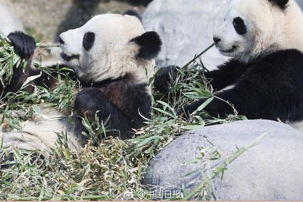 卖身的女生微信号多少 _ 翻译,卖身的女人是怎么想的