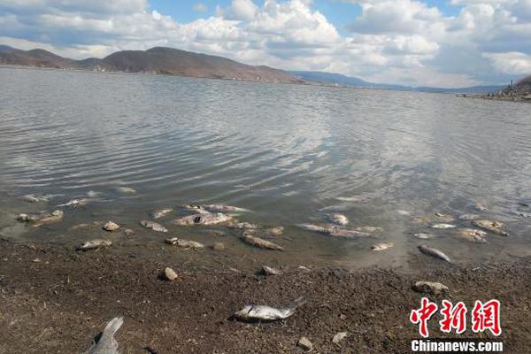 南昌晚上小巷子 _ 勘探测绘院,南昌新建小巷子