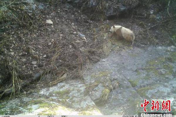 品茶平台有哪些 _ 工具房拼音,品茶app知乎