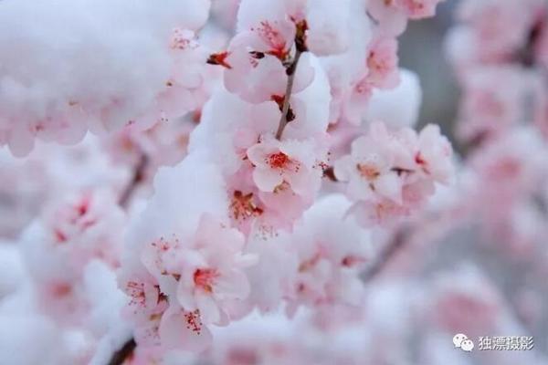 中心还有桑拿小姐上门吗附近还有桑拿小姐上门吗 _ 字体大小,桑拿最近的地方