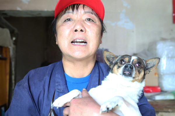 深圳龙华这边哪里有服务,深圳龙华这边哪里有服务好的地方