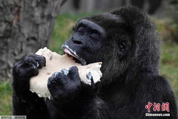 东郊到家北京开通了吗?上门推拿居然能约到凌晨两点!,东郊到家真实经历