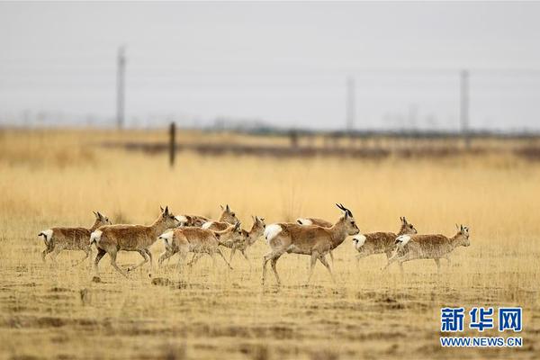 木材_微信附近的人400元快餐怎么用