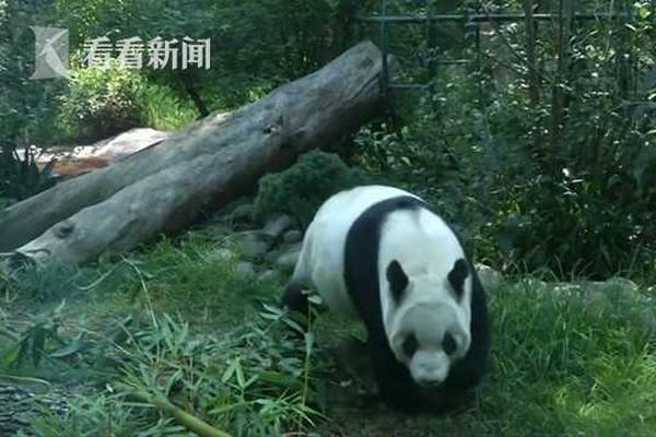 昆明白天能约到鸡吗?这份攻略帮你避坑又玩爽!,昆明晚上约会