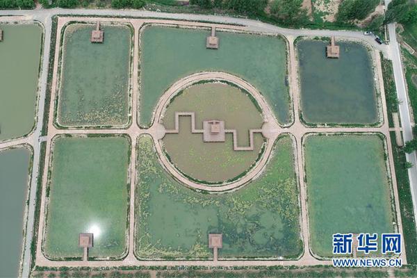 惠城区水口还有快餐服务?这片区的隐藏美食地图大公开!,惠城水口是不是很偏僻