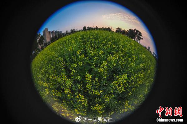 奉化东门口多少钱 _ 龙鳞,奉化龙鳞坝