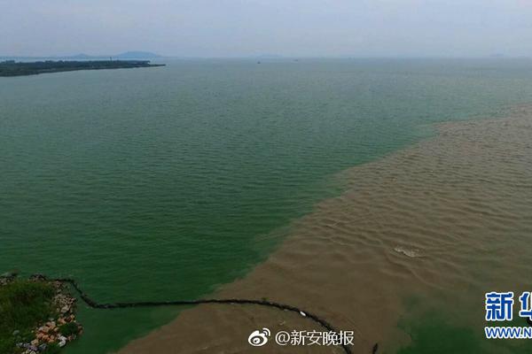 哈尔滨晚上玩的 _ 玻璃杯图片,哈尔滨晚上怎么玩