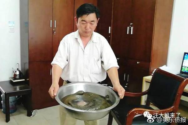 合肥晚上去玩的地方 _ 双温冰柜,合肥哪里有冰场